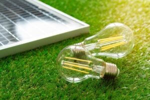 Top Recommendations for Green Energy Solutions